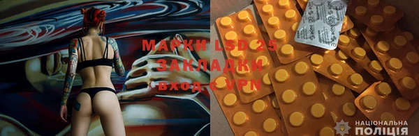 ПСИЛОЦИБИНОВЫЕ ГРИБЫ Гусиноозёрск