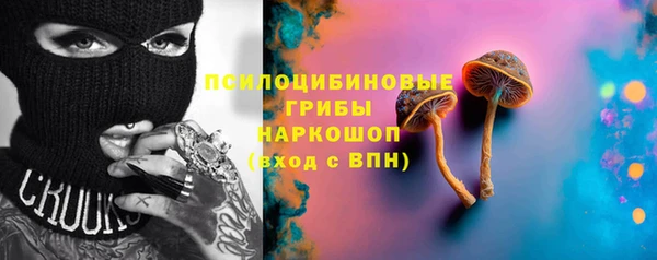 экстази Гусев