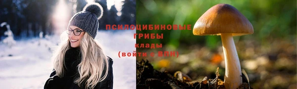 ПСИЛОЦИБИНОВЫЕ ГРИБЫ Гусиноозёрск