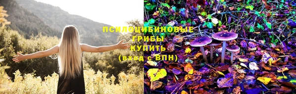 ПСИЛОЦИБИНОВЫЕ ГРИБЫ Гусиноозёрск
