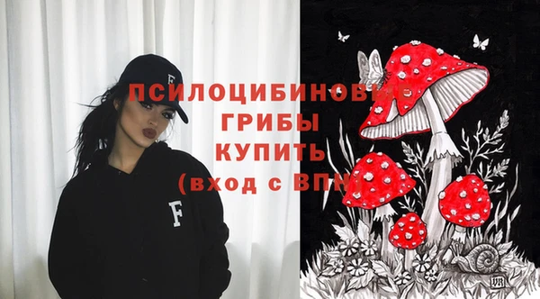 ПСИЛОЦИБИНОВЫЕ ГРИБЫ Гусиноозёрск