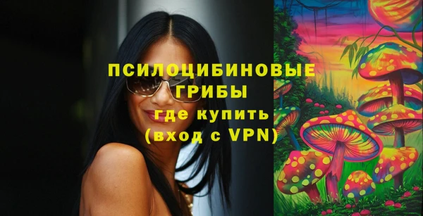 экстази Гусев