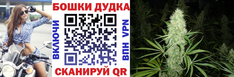 Шишки марихуана сатива  наркотики  Красноярск 